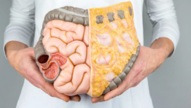 Grasa visceral: ¿qué es y cómo eliminarla?