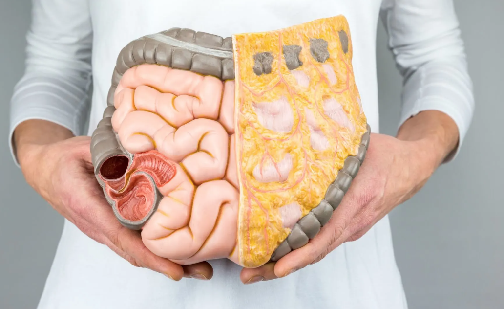 Grasa visceral: ¿qué es y cómo eliminarla?