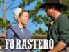 El forastero