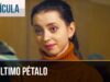 El último pétalo
