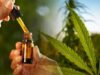 Lo que necesita saber (y lo que estamos intentando averiguar) sobre los productos que contienen cannabis o compuestos derivados de él, incluyendo el CDB