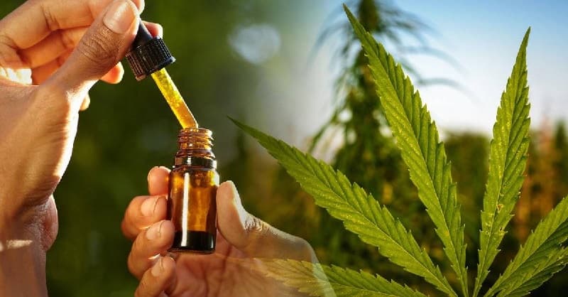 Lo que necesita saber (y lo que estamos intentando averiguar) sobre los productos que contienen cannabis o compuestos derivados de él, incluyendo el CDB