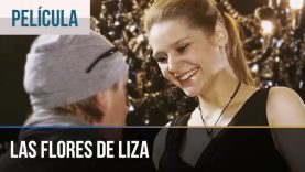 Las flores de Liza