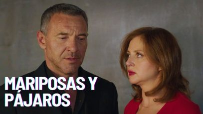 Mariposas y pájaros