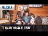 Te amaré hasta el final