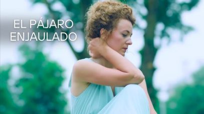 El pájaro enjaulado