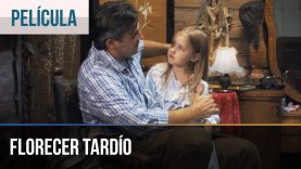 Florecer tardío