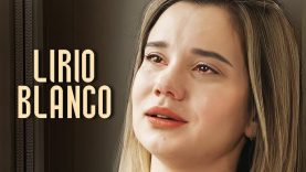 Lirio blanco
